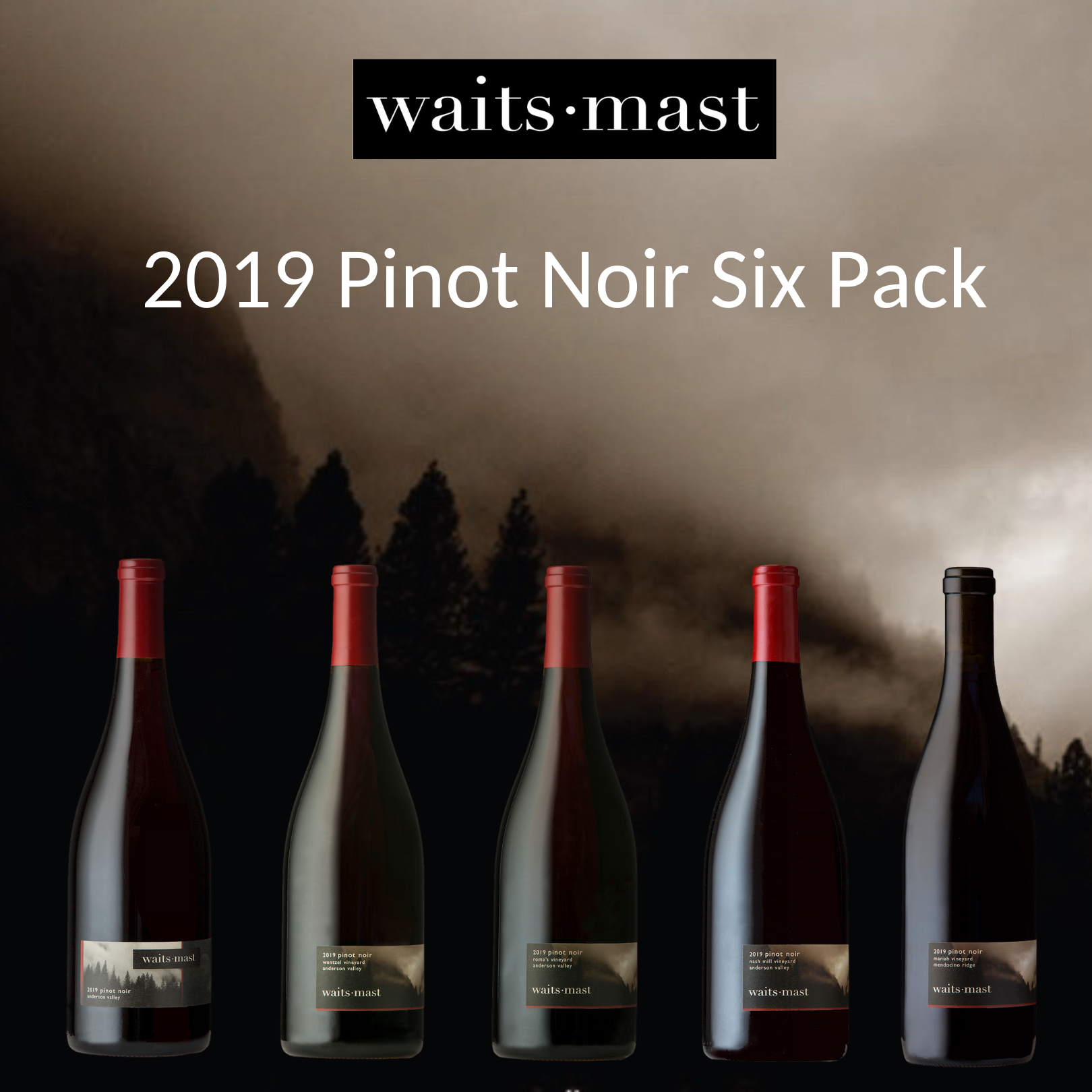 2019 Pinot Noir Six Pack THUMBNAIL
