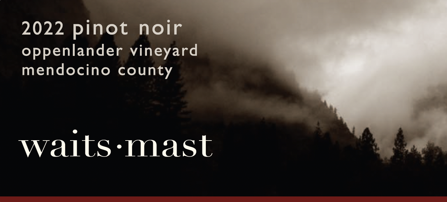 2022 Waits-Mast Pinot Noir, Oppenlander Vineyard, Mendocino County THUMBNAIL