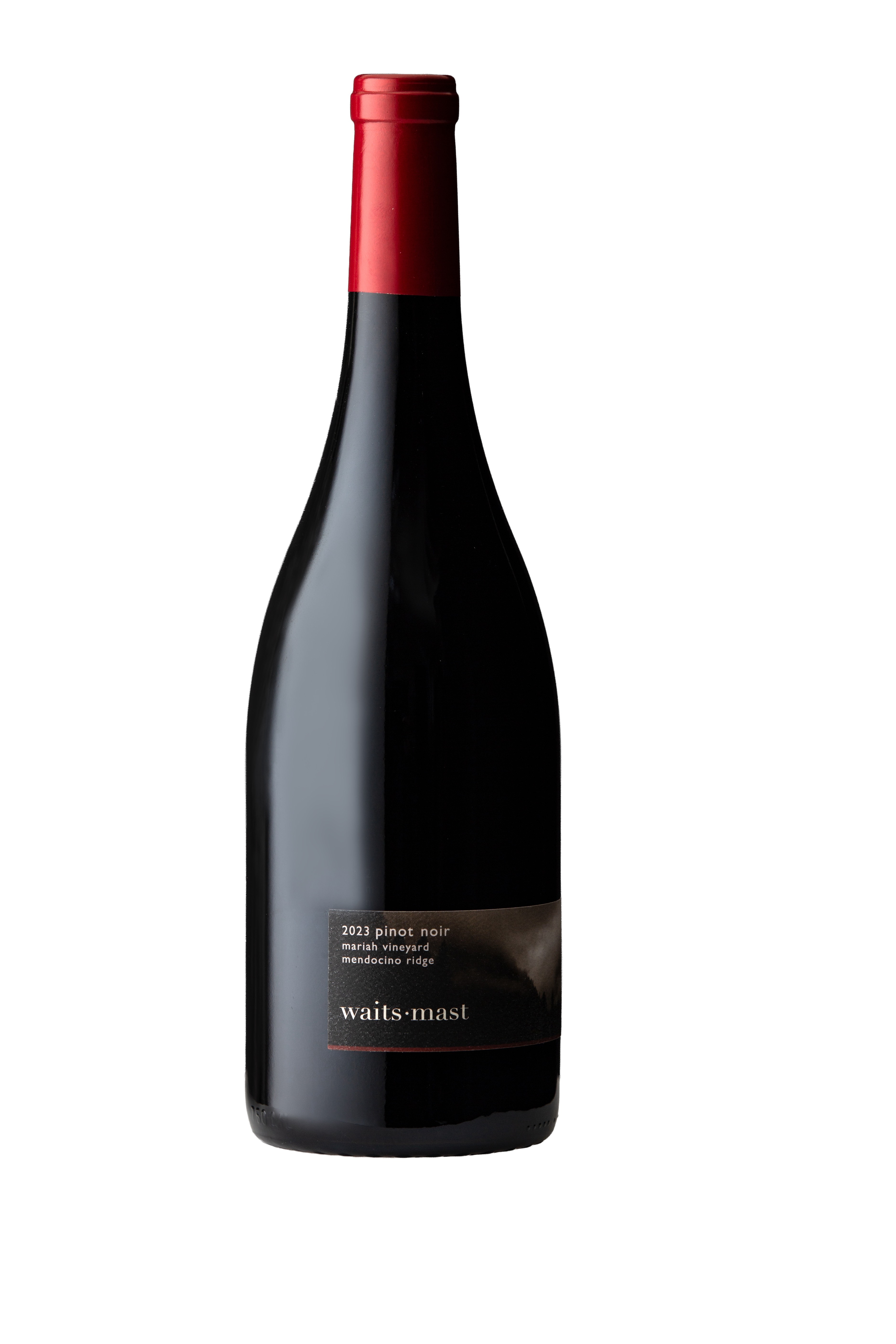 2023 Waits-Mast Pinot Noir, Mariah Vineyard, Mendocino Ridge LARGE