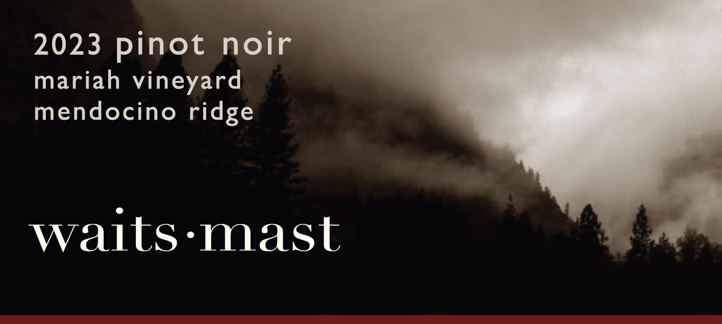2023 Waits-Mast Pinot Noir, Mariah Vineyard, Mendocino Ridge THUMBNAIL