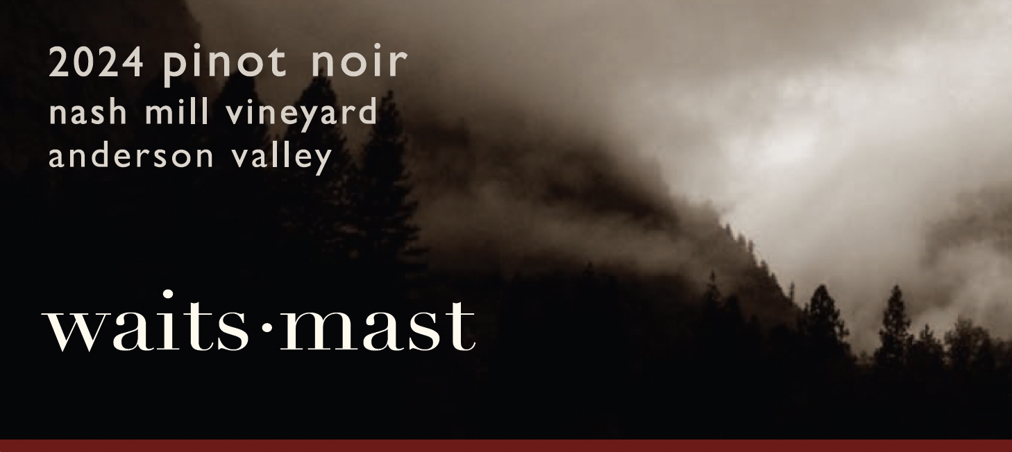 2024 Waits-Mast Pinot Noir, Nash Mill Vineyard, Anderson Valley THUMBNAIL