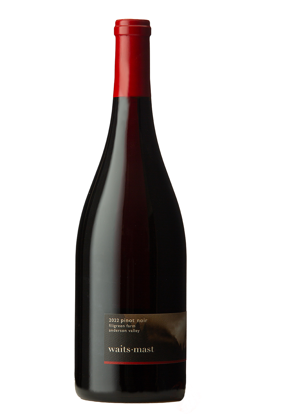 2022 Waits-Mast Pinot Noir, Filigreen Farm Vineyard, Anderson Valley MAIN