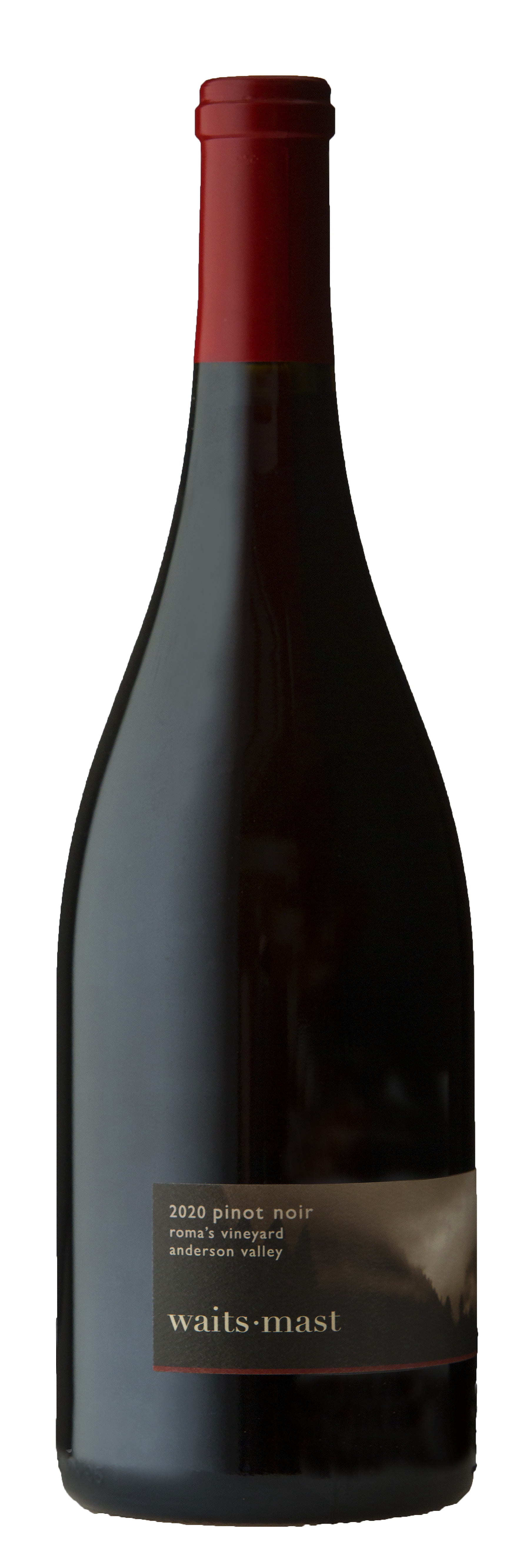 2020 Waits-Mast Pinot Noir, Roma's  Vineyard, Anderson Valley MAIN