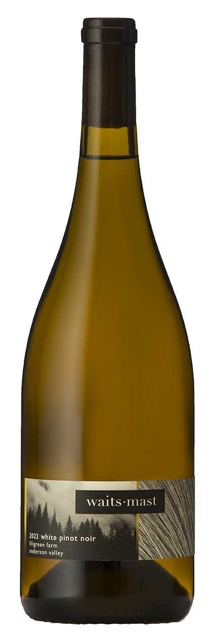 2022 White Pinot Noir, Filigreen Farm, Anderson Valley MAIN