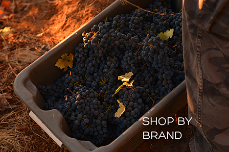 Shop by Brand