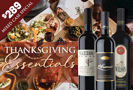 2026 Thanksgiving Essentials Case THUMBNAIL