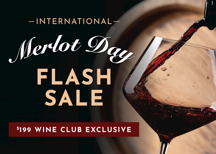 2022 Pezzi King Merlot Flash Case MAIN