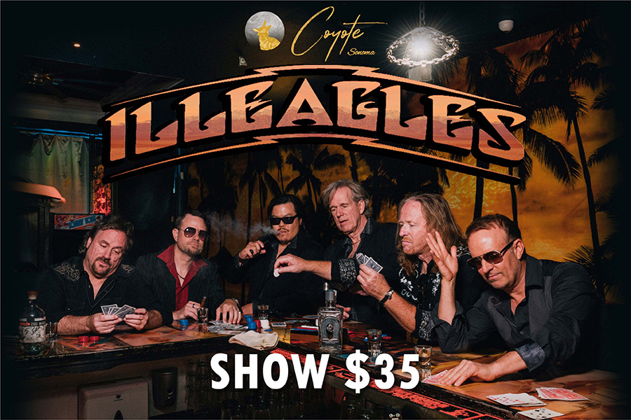 Illeagles - The Premier Tribute to the Music of The Eagles MAIN