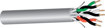 D441 THUMBNAIL