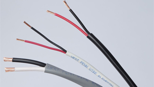 MULTIPLE PAIR SPEAKER