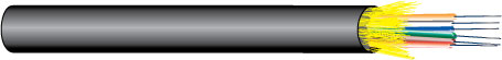 WP9E045T MAIN