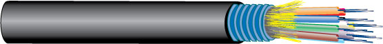 WP9C241T MAIN