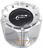 DALE EARNHART JR 1342100008 CENTER CAP SWATCH