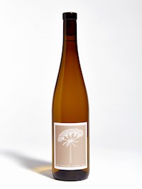 Flower Day Riesling MAIN