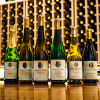 The Vault Collection - Limited Library 6 Pack MAIN