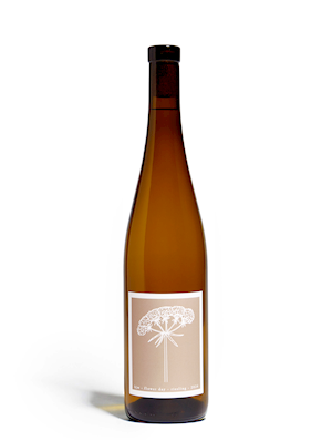 Riesling Flower Day 2025 LARGE