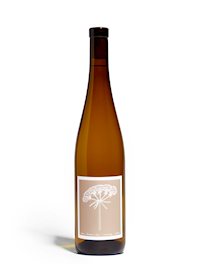 Riesling Flower Day 2025 MAIN