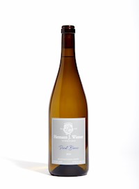 Pinot Blanc 2024 MAIN