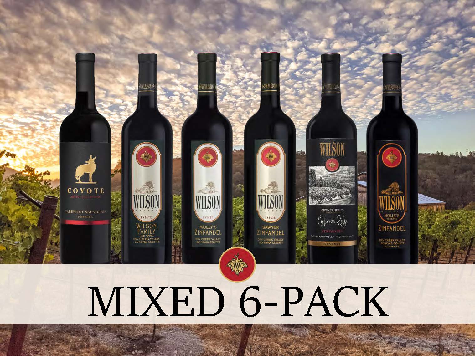 Sampler 6-Pack THUMBNAIL