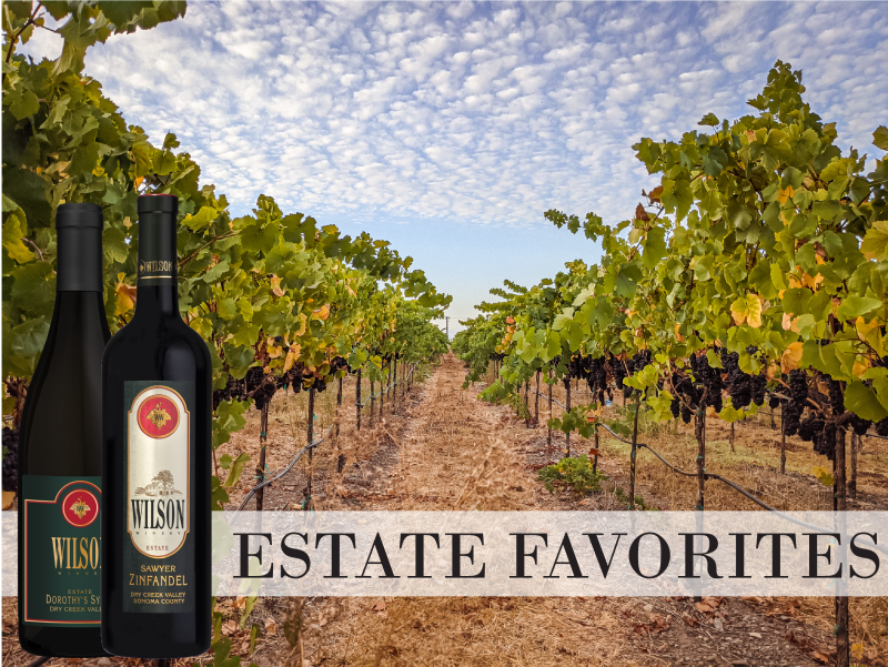 Estate Favorites Case LARGE