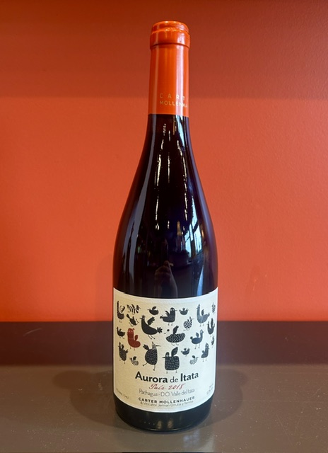 2018 Carter Mollenhauer Aurora de Itata Pais MAIN